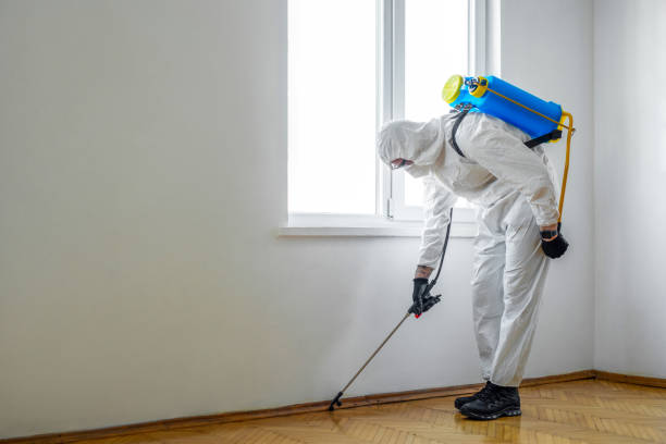 Best Pest Control for Multi-Family Homes  in Fletcher, OK